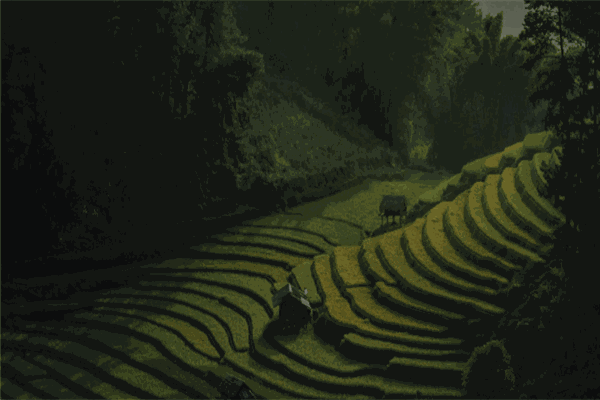 张大学士牛肉汤